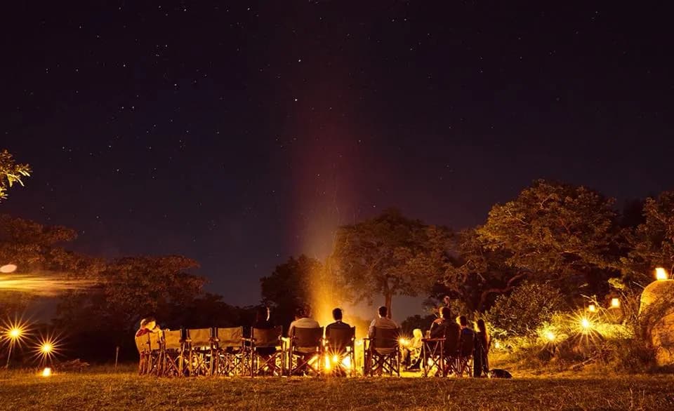 Safari